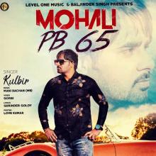 Mohali PB 65