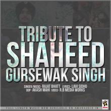 Tribute To Shaheed G...
