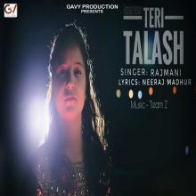 Teri Talash