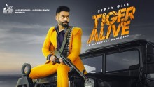 Tiger Alive - Sippy ...